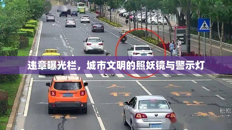 違章曝光欄，城市文明的照妖鏡與警示燈