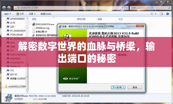 解密數(shù)字世界的血脈與橋梁，輸出端口的秘密
