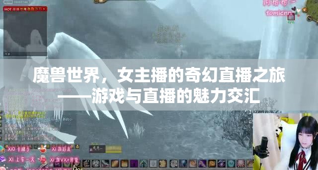 魔獸世界，女主播的奇幻直播之旅——游戲與直播的魅力交匯