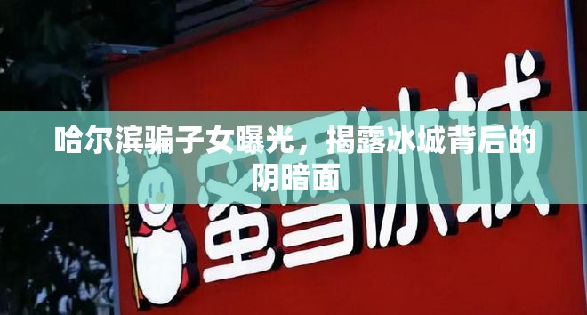 哈爾濱騙子女曝光，揭露冰城背后的陰暗面