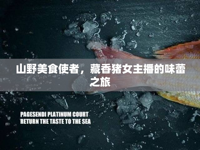 山野美食使者，藏香豬女主播的味蕾之旅