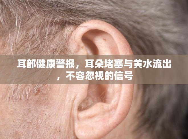 耳部健康警報(bào)，耳朵堵塞與黃水流出，不容忽視的信號(hào)