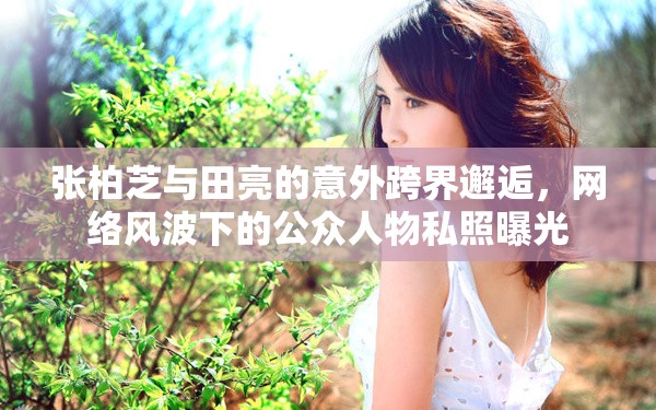 張柏芝與田亮的意外跨界邂逅，網(wǎng)絡(luò)風(fēng)波下的公眾人物私照曝光