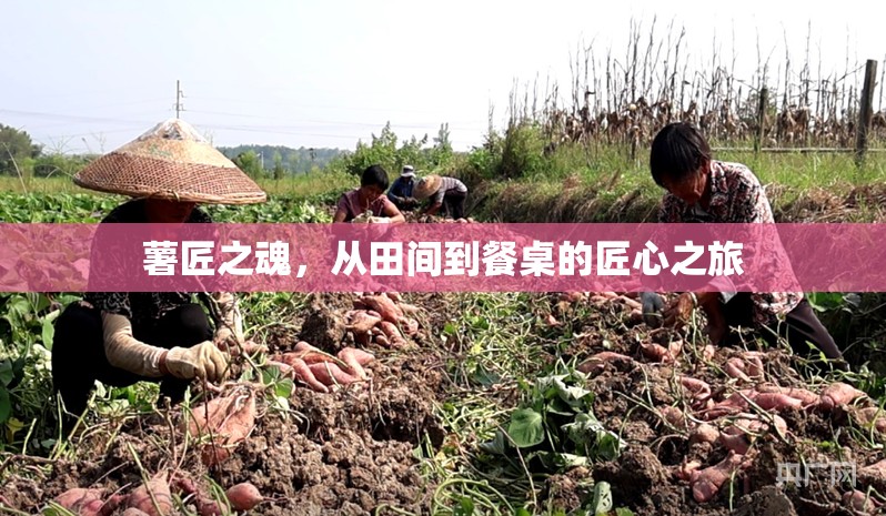 薯匠之魂，從田間到餐桌的匠心之旅