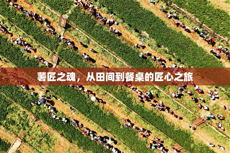 薯匠之魂，從田間到餐桌的匠心之旅