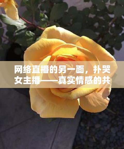 網(wǎng)絡(luò)直播的另一面，撲哭女主播——真實(shí)情感的共鳴與治愈