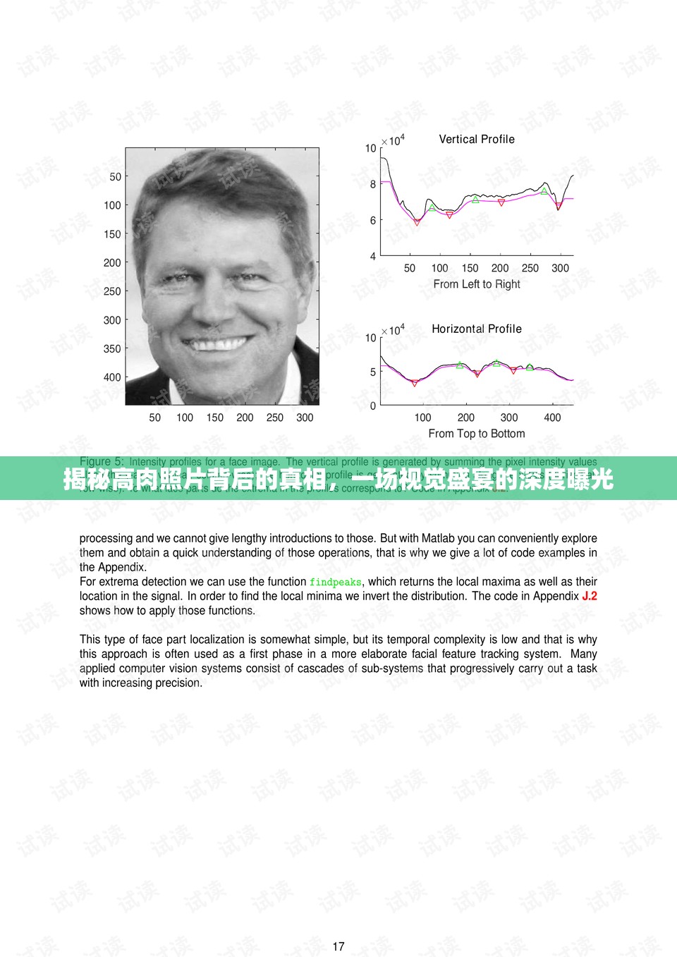揭秘高肉照片背后的真相，一場視覺盛宴的深度曝光