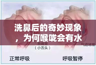 洗鼻后的奇妙現(xiàn)象，為何喉嚨會(huì)有水流出？