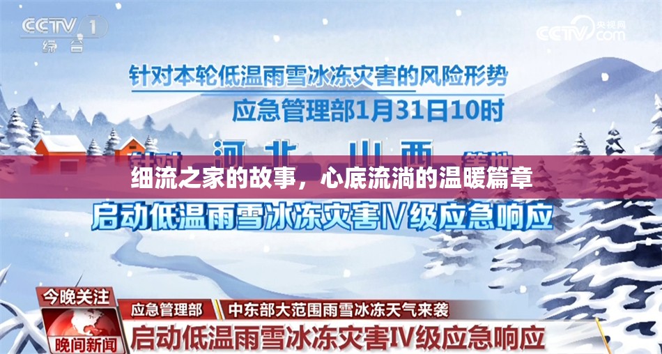 細(xì)流之家的故事，心底流淌的溫暖篇章