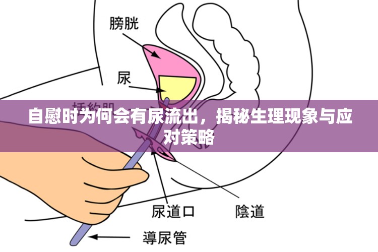 自慰時為何會有尿流出，揭秘生理現象與應對策略