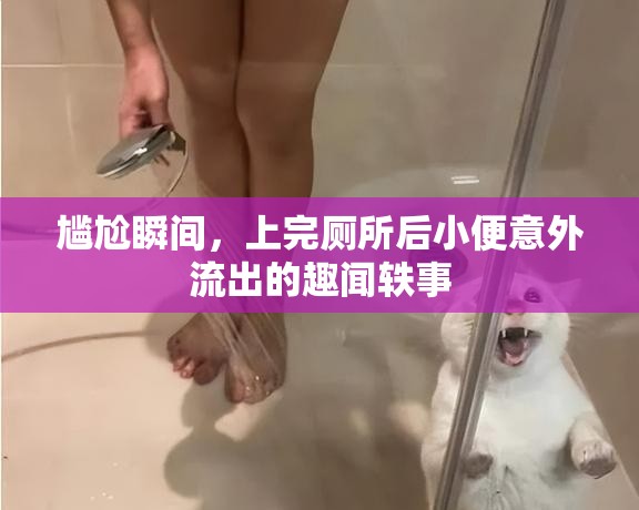 尷尬瞬間，上完廁所后小便意外流出的趣聞?shì)W事