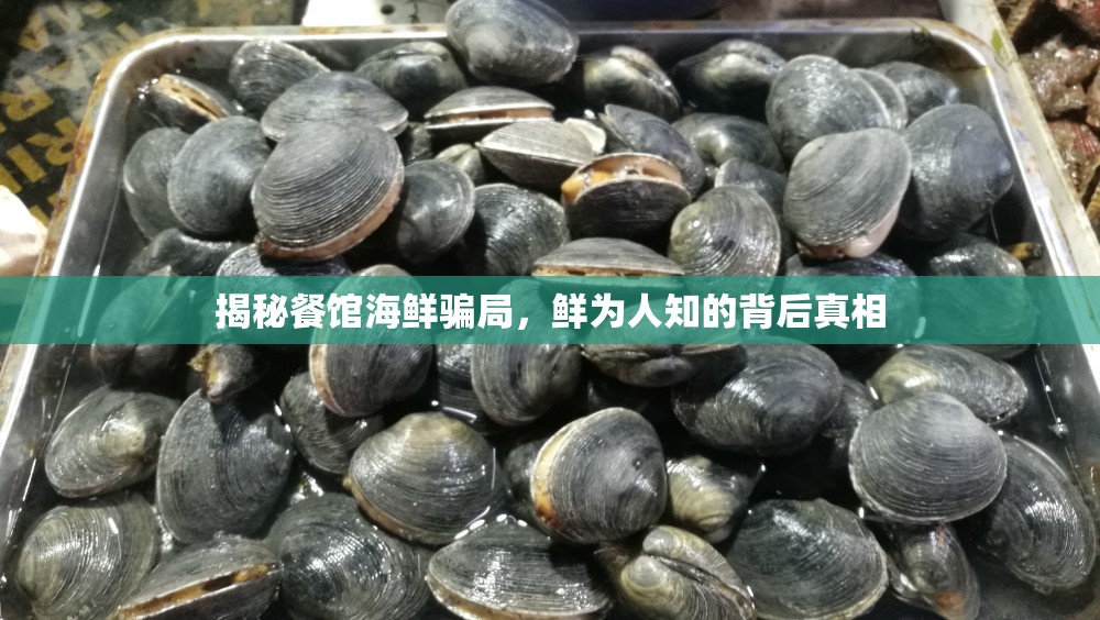 揭秘餐館海鮮騙局，鮮為人知的背后真相