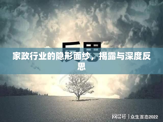 家政行業(yè)的隱形面紗，揭露與深度反思