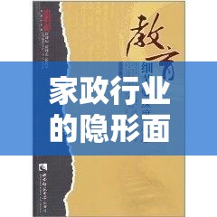 家政行業(yè)的隱形面紗，揭露與深度反思