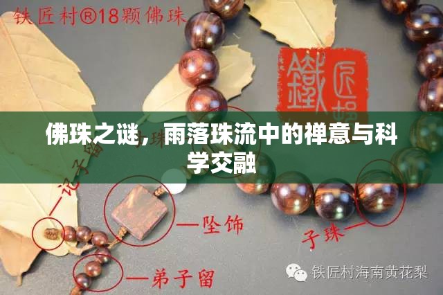 佛珠之謎，雨落珠流中的禪意與科學(xué)交融