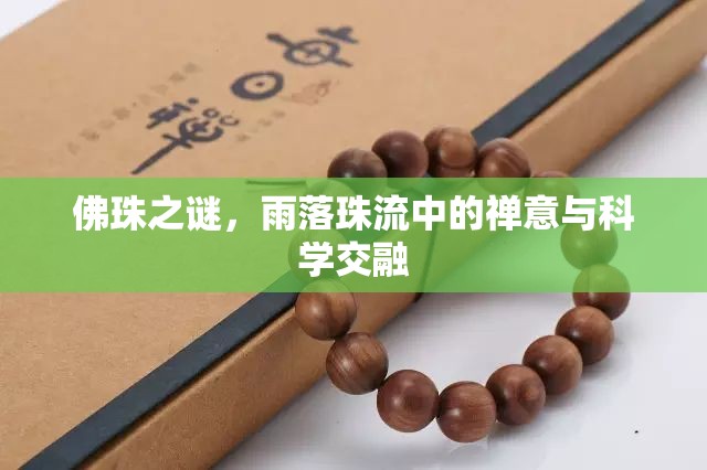 佛珠之謎，雨落珠流中的禪意與科學(xué)交融