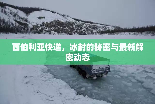 西伯利亞快遞，冰封的秘密與最新解密動態(tài)