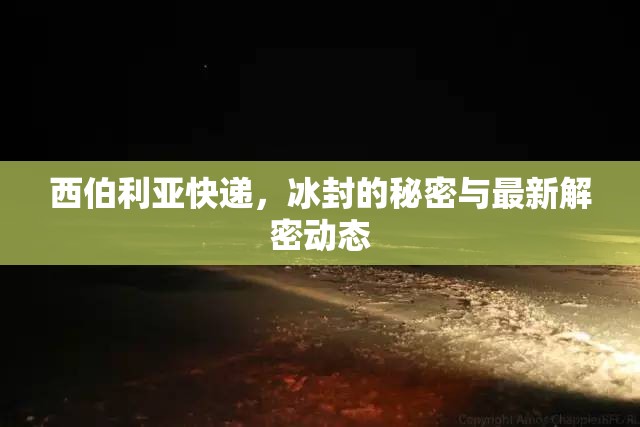西伯利亞快遞，冰封的秘密與最新解密動態(tài)