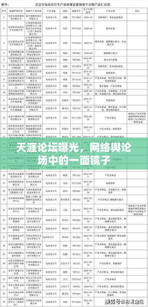 天涯論壇曝光，網(wǎng)絡(luò)輿論場中的一面鏡子
