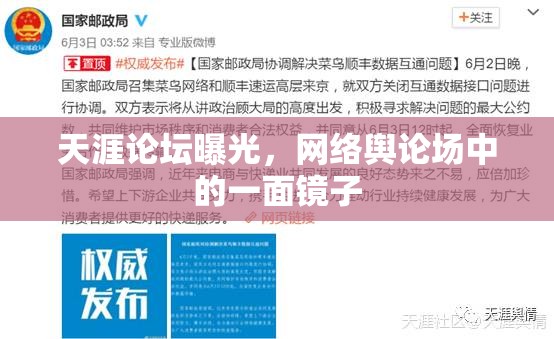 天涯論壇曝光，網(wǎng)絡(luò)輿論場中的一面鏡子