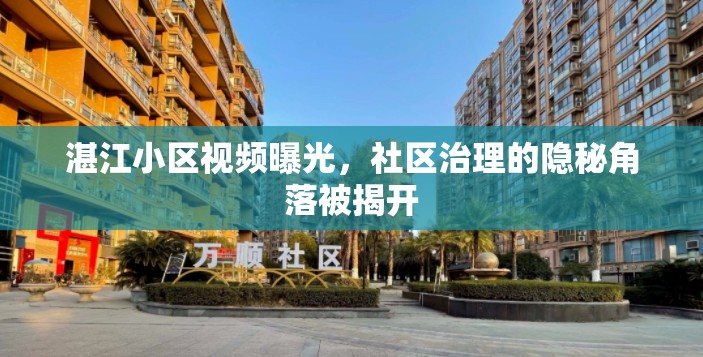 湛江小區(qū)視頻曝光，社區(qū)治理的隱秘角落被揭開(kāi)