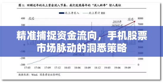 精準(zhǔn)捕捉資金流向，手機股票市場脈動的洞悉策略