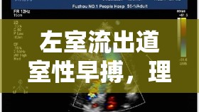 左室流出道室性早搏，理解、挑戰(zhàn)與治療的新視角