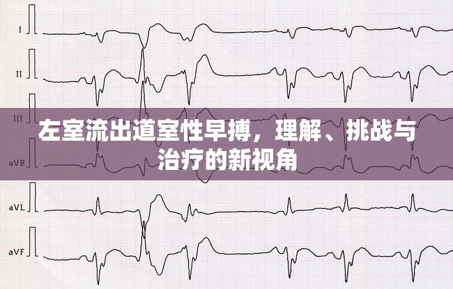 左室流出道室性早搏，理解、挑戰(zhàn)與治療的新視角