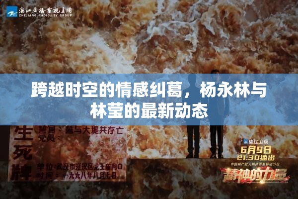 跨越時空的情感糾葛，楊永林與林瑩的最新動態(tài)
