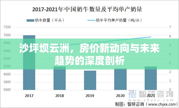 沙坪壩云洲，房?jī)r(jià)新動(dòng)向與未來趨勢(shì)的深度剖析