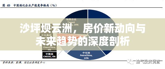 沙坪壩云洲，房?jī)r(jià)新動(dòng)向與未來趨勢(shì)的深度剖析