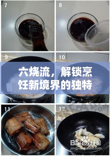 六燒流，解鎖烹飪新境界的獨(dú)特烹飪技巧