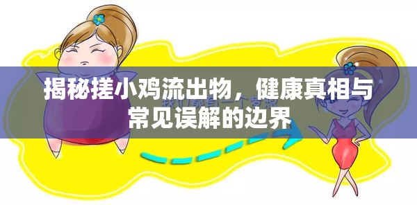 揭秘搓小雞流出物，健康真相與常見誤解的邊界