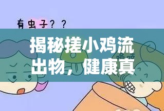 揭秘搓小雞流出物，健康真相與常見誤解的邊界
