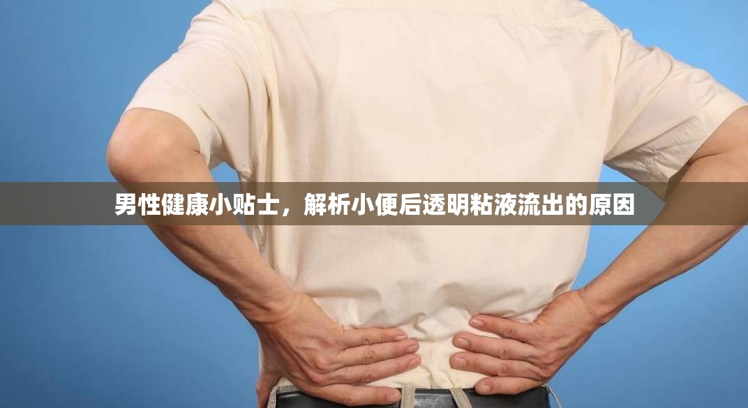 男性健康小貼士，解析小便后透明粘液流出的原因