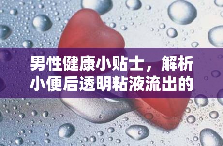 男性健康小貼士，解析小便后透明粘液流出的原因