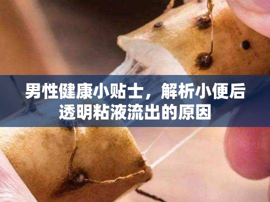 男性健康小貼士，解析小便后透明粘液流出的原因