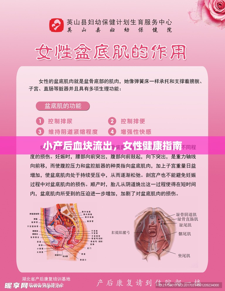 小產(chǎn)后血塊流出，女性健康指南