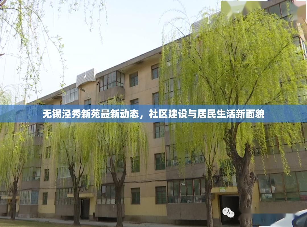 無錫涇秀新苑最新動態(tài)，社區(qū)建設(shè)與居民生活新面貌