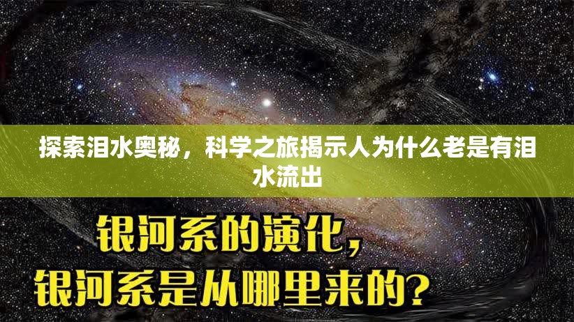探索淚水奧秘，科學(xué)之旅揭示人為什么老是有淚水流出