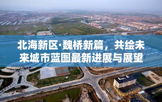 北海新區(qū)·魏橋新篇，共繪未來城市藍(lán)圖最新進(jìn)展與展望
