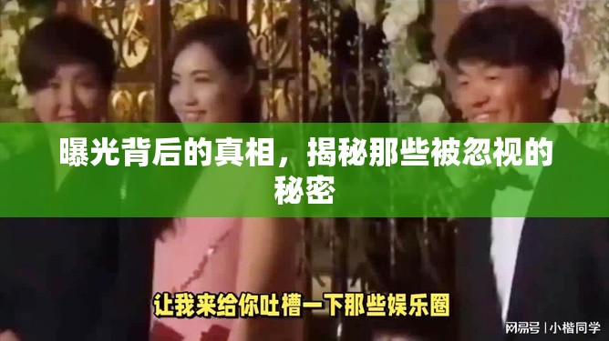 曝光背后的真相，揭秘那些被忽視的秘密