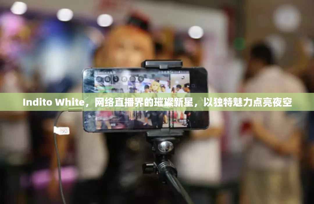 Indito White，網(wǎng)絡(luò)直播界的璀璨新星，以獨(dú)特魅力點(diǎn)亮夜空