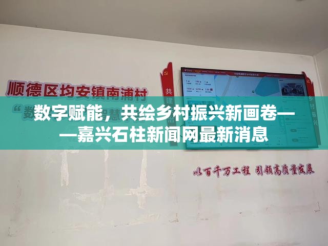 數(shù)字賦能，共繪鄉(xiāng)村振興新畫卷——嘉興石柱新聞網(wǎng)最新消息