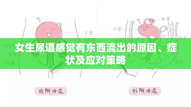 女生尿道感覺有東西流出的原因、癥狀及應對策略