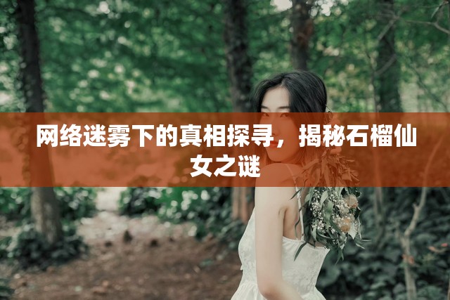 網(wǎng)絡(luò)迷霧下的真相探尋，揭秘石榴仙女之謎