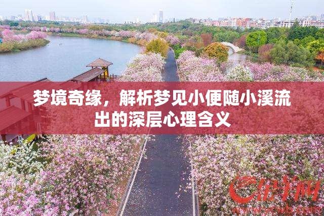 夢(mèng)境奇緣，解析夢(mèng)見小便隨小溪流出的深層心理含義