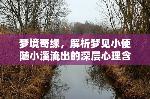 夢(mèng)境奇緣，解析夢(mèng)見小便隨小溪流出的深層心理含義