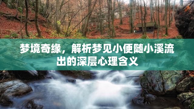 夢(mèng)境奇緣，解析夢(mèng)見小便隨小溪流出的深層心理含義