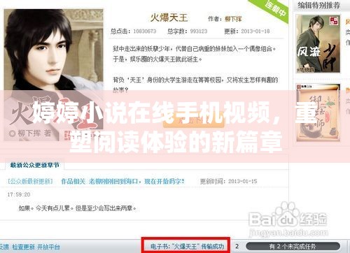 婷婷小說在線手機(jī)視頻，重塑閱讀體驗的新篇章